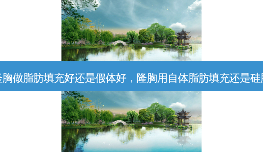 隆胸做脂肪填充好还是假体好,隆胸用自体脂肪填充还是硅胶-第1张图片-美呗严选网 隆胸做脂肪填充好还是假体好,隆胸用自体脂肪填充还是硅胶-第1张图片-美呗严选网