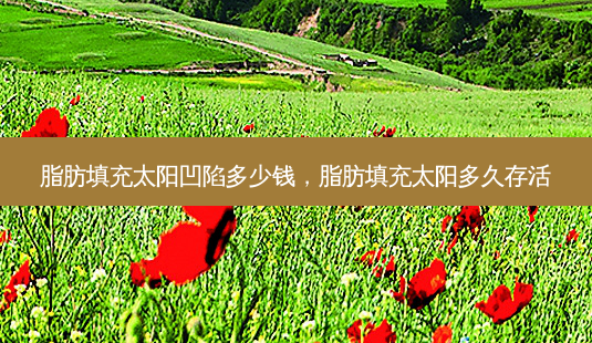 脂肪填充太阳凹陷多少钱,脂肪填充太阳多久存活-第1张图片-美呗严选网 脂肪填充太阳凹陷多少钱,脂肪填充太阳多久存活-第1张图片-美呗严选网