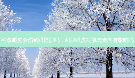 割双眼皮会伤到眼提肌吗,割双眼皮对肌肉走向有影响吗-第1张图片-美呗严选网 割双眼皮会伤到眼提肌吗,割双眼皮对肌肉走向有影响吗-第1张图片-美呗严选网