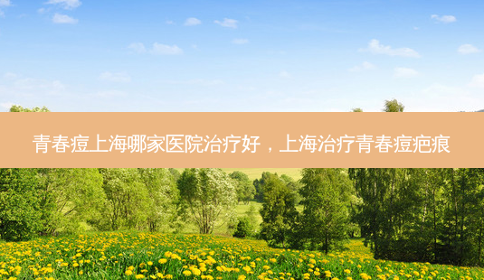 青春痘上海哪家医院治疗好,上海治疗青春痘疤痕-第1张图片-美呗严选网 青春痘上海哪家医院治疗好,上海治疗青春痘疤痕-第1张图片-美呗严选网