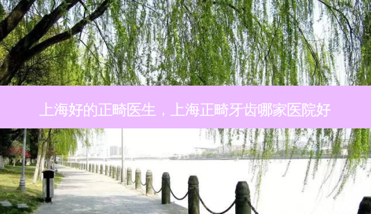 上海好的正畸医生,上海正畸牙齿哪家医院好-第1张图片-美呗严选网 上海好的正畸医生,上海正畸牙齿哪家医院好-第1张图片-美呗严选网