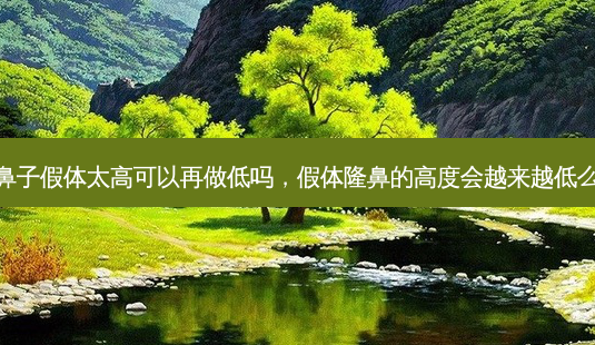鼻子假体太高可以再做低吗,假体隆鼻的高度会越来越低么-第1张图片-美呗严选网 鼻子假体太高可以再做低吗,假体隆鼻的高度会越来越低么-第1张图片-美呗严选网