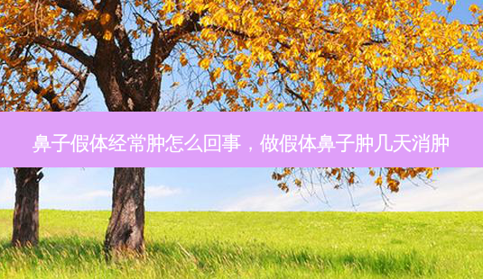 鼻子假体经常肿怎么回事,做假体鼻子肿几天消肿-第1张图片-美呗严选网 鼻子假体经常肿怎么回事,做假体鼻子肿几天消肿-第1张图片-美呗严选网