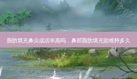脂肪填充鼻尖成活率高吗,鼻部脂肪填充能维持多久-第1张图片-美呗严选网 脂肪填充鼻尖成活率高吗,鼻部脂肪填充能维持多久-第1张图片-美呗严选网