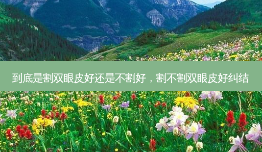 到底是割双眼皮好还是不割好,割不割双眼皮好纠结-第1张图片-美呗严选网 到底是割双眼皮好还是不割好,割不割双眼皮好纠结-第1张图片-美呗严选网