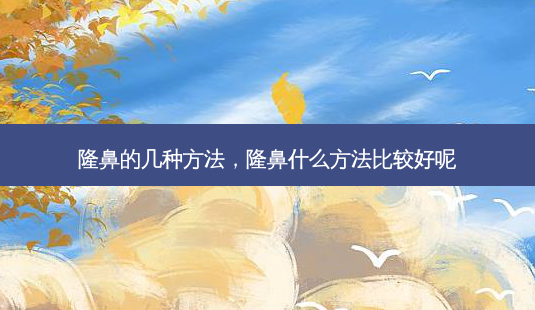 隆鼻的几种 *** ,隆鼻什么 *** 比较好呢-第1张图片-美呗严选网 隆鼻的几种 *** ,隆鼻什么 *** 比较好呢-第1张图片-美呗严选网