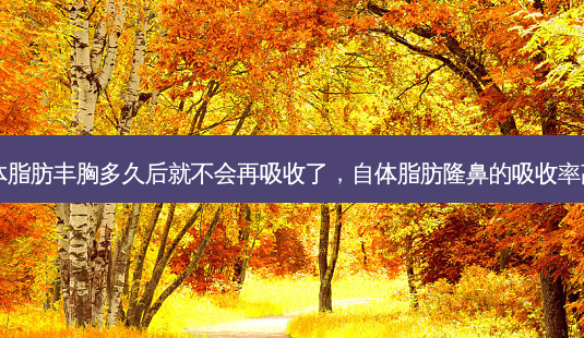 自体脂肪丰胸多久后就不会再吸收了,自体脂肪隆鼻的吸收率高吗-第1张图片-美呗严选网 自体脂肪丰胸多久后就不会再吸收了,自体脂肪隆鼻的吸收率高吗-第1张图片-美呗严选网