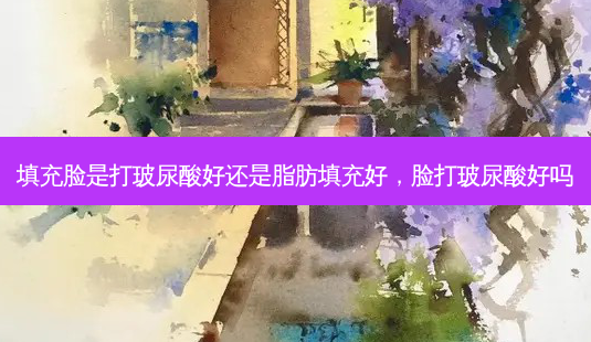 填充脸是打玻尿酸好还是脂肪填充好,脸打玻尿酸好吗-第1张图片-美呗严选网 填充脸是打玻尿酸好还是脂肪填充好,脸打玻尿酸好吗-第1张图片-美呗严选网