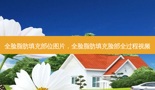 全脸脂肪填充部位图片,全脸脂肪填充脸部全过程视频-第1张图片-美呗严选网 全脸脂肪填充部位图片,全脸脂肪填充脸部全过程视频-第1张图片-美呗严选网
