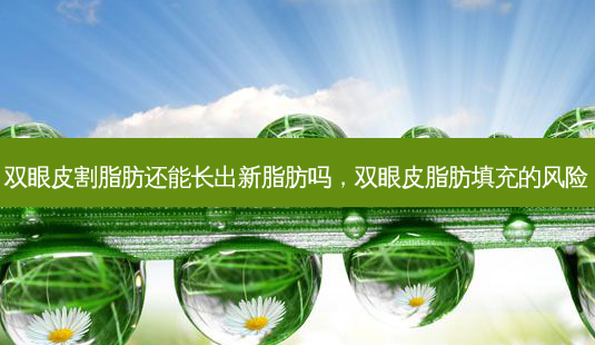 双眼皮割脂肪还能长出新脂肪吗,双眼皮脂肪填充的风险-第1张图片-美呗严选网 双眼皮割脂肪还能长出新脂肪吗,双眼皮脂肪填充的风险-第1张图片-美呗严选网