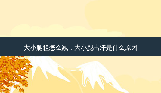 大小腿粗怎么减,大小腿出汗是什么原因-第1张图片-美呗严选网 大小腿粗怎么减,大小腿出汗是什么原因-第1张图片-美呗严选网