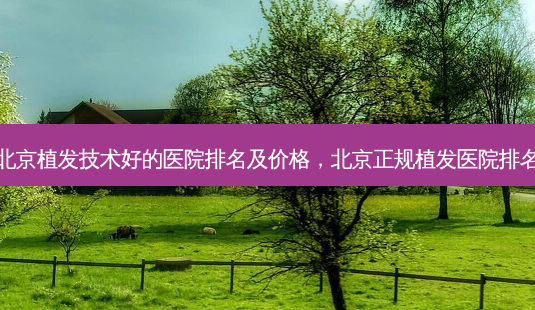 北京植发技术好的医院排名及价格,北京正规植发医院排名-第1张图片-美呗严选网 北京植发技术好的医院排名及价格,北京正规植发医院排名-第1张图片-美呗严选网