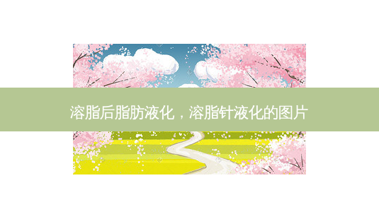 溶脂后脂肪液化,溶脂针液化的图片-第1张图片-美呗严选网 溶脂后脂肪液化,溶脂针液化的图片-第1张图片-美呗严选网