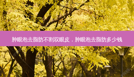 肿眼泡去脂肪不割双眼皮,肿眼泡去脂肪多少钱-第1张图片-美呗严选网 肿眼泡去脂肪不割双眼皮,肿眼泡去脂肪多少钱-第1张图片-美呗严选网