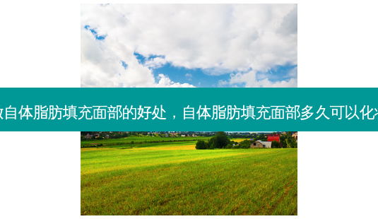 做自体脂肪填充面部的好处,自体脂肪填充面部多久可以化妆-第1张图片-美呗严选网 做自体脂肪填充面部的好处,自体脂肪填充面部多久可以化妆-第1张图片-美呗严选网