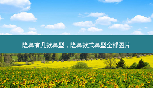 隆鼻有几款鼻型,隆鼻款式鼻型全部图片-第1张图片-美呗严选网 隆鼻有几款鼻型,隆鼻款式鼻型全部图片-第1张图片-美呗严选网