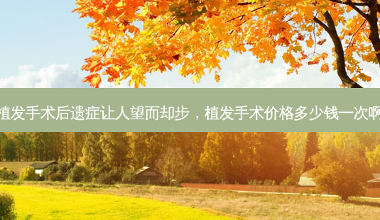 植发手术后遗症让人望而却步,植发手术价格多少钱一次啊-第1张图片-美呗严选网 植发手术后遗症让人望而却步,植发手术价格多少钱一次啊-第1张图片-美呗严选网