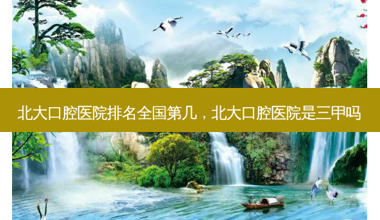 北大口腔医院排名全国第几,北大口腔医院是三甲吗-第1张图片-美呗严选网 北大口腔医院排名全国第几,北大口腔医院是三甲吗-第1张图片-美呗严选网