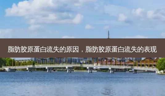 脂肪胶原蛋白流失的原因,脂肪胶原蛋白流失的表现-第1张图片-美呗严选网 脂肪胶原蛋白流失的原因,脂肪胶原蛋白流失的表现-第1张图片-美呗严选网