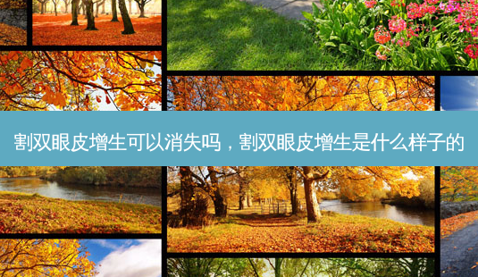 割双眼皮增生可以消失吗,割双眼皮增生是什么样子的-第1张图片-美呗严选网 割双眼皮增生可以消失吗,割双眼皮增生是什么样子的-第1张图片-美呗严选网