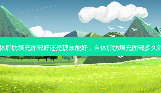自体脂肪填充面部好还是玻尿酸好,自体脂肪填充面部多久消肿-第1张图片-美呗严选网 自体脂肪填充面部好还是玻尿酸好,自体脂肪填充面部多久消肿-第1张图片-美呗严选网