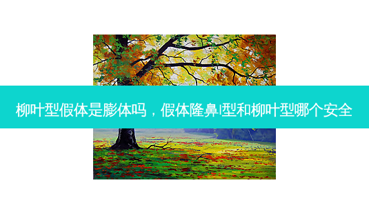 柳叶型假体是膨体吗,假体隆鼻l型和柳叶型哪个 *** -第1张图片-美呗严选网 柳叶型假体是膨体吗,假体隆鼻l型和柳叶型哪个 *** -第1张图片-美呗严选网