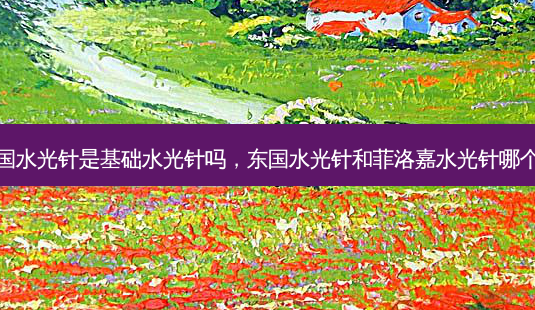 东国水光针是基础水光针吗,东国水光针和菲洛嘉水光针哪个好-第1张图片-美呗严选网 东国水光针是基础水光针吗,东国水光针和菲洛嘉水光针哪个好-第1张图片-美呗严选网