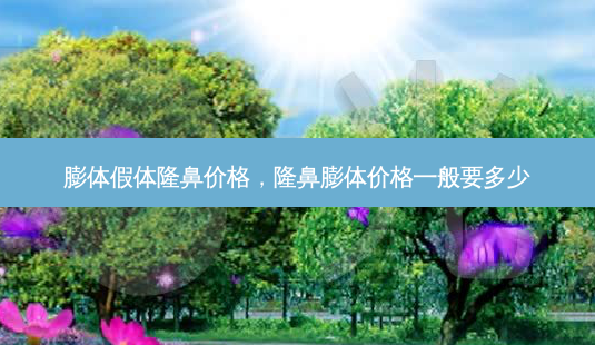 膨体假体隆鼻价格,隆鼻膨体价格一般要多少-第1张图片-美呗严选网 膨体假体隆鼻价格,隆鼻膨体价格一般要多少-第1张图片-美呗严选网