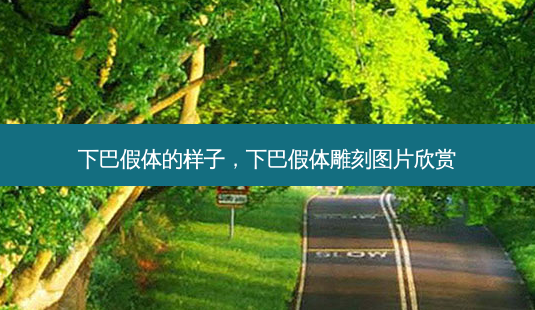 下巴假体的样子,下巴假体雕刻图片欣赏-第1张图片-美呗严选网 下巴假体的样子,下巴假体雕刻图片欣赏-第1张图片-美呗严选网