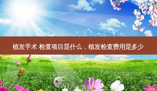 植发手术 检查项目是什么,植发检查费用是多少-第1张图片-美呗严选网 植发手术 检查项目是什么,植发检查费用是多少-第1张图片-美呗严选网