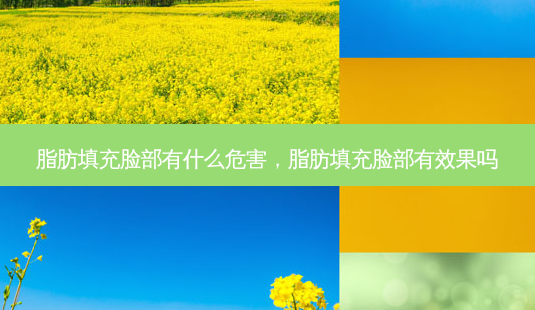 脂肪填充脸部有什么危害,脂肪填充脸部有效果吗-第1张图片-美呗严选网 脂肪填充脸部有什么危害,脂肪填充脸部有效果吗-第1张图片-美呗严选网