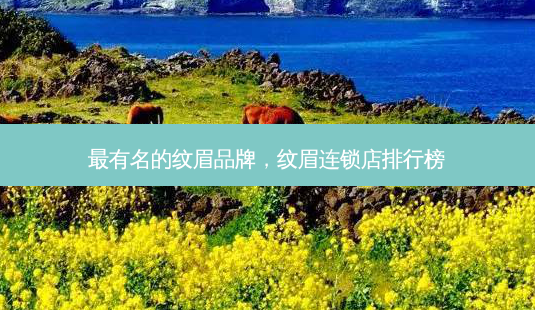 最有名的纹眉品牌，纹眉连锁店排行榜-第1张图片-美呗严选网