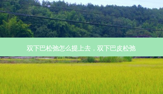 双下巴松弛怎么提上去,双下巴皮松弛-第1张图片-美呗严选网 双下巴松弛怎么提上去,双下巴皮松弛-第1张图片-美呗严选网