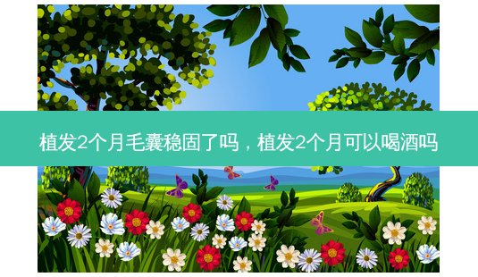 植发2个月毛囊稳固了吗，植发2个月可以喝酒吗-第1张图片-美呗严选网