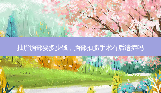 抽脂胸部要多少钱,胸部抽脂手术有后遗症吗-第1张图片-美呗严选网 抽脂胸部要多少钱,胸部抽脂手术有后遗症吗-第1张图片-美呗严选网