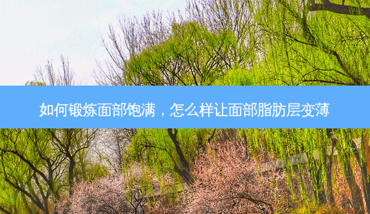 如何锻炼面部饱满，怎么样让面部脂肪层变薄-第1张图片-美呗严选网