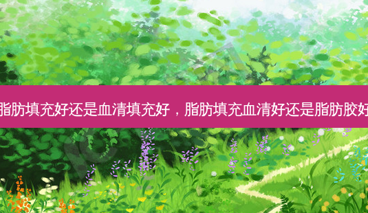 脂肪填充好还是血清填充好,脂肪填充血清好还是脂肪胶好-第1张图片-美呗严选网 脂肪填充好还是血清填充好,脂肪填充血清好还是脂肪胶好-第1张图片-美呗严选网