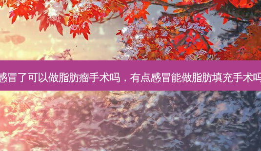 感冒了可以做脂肪瘤手术吗,有点感冒能做脂肪填充手术吗-第1张图片-美呗严选网 感冒了可以做脂肪瘤手术吗,有点感冒能做脂肪填充手术吗-第1张图片-美呗严选网