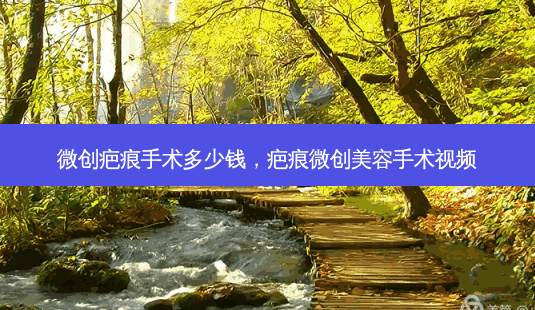 微创疤痕手术多少钱，疤痕微创美容手术视频-第1张图片-美呗严选网