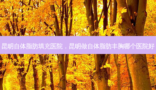 昆明自体脂肪填充医院,昆明做自体脂肪丰胸哪个医院好-第1张图片-美呗严选网 昆明自体脂肪填充医院,昆明做自体脂肪丰胸哪个医院好-第1张图片-美呗严选网