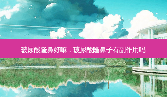 玻尿酸隆鼻好嘛,玻尿酸隆鼻子有副作用吗-第1张图片-美呗严选网 玻尿酸隆鼻好嘛,玻尿酸隆鼻子有副作用吗-第1张图片-美呗严选网