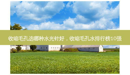 收缩毛孔选哪种水光针好，收缩毛孔水排行榜10强-第1张图片-美呗严选网