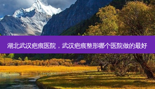 湖北武汉疤痕医院，武汉疤痕整形哪个医院做的 *** -第1张图片-美呗严选网