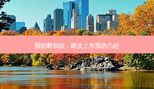 脂肪断裂纹，眼皮上有脂肪凸起-第1张图片-美呗严选网