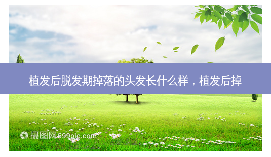植发后脱发期掉落的头发长什么样,植发后掉-第1张图片-美呗严选网 植发后脱发期掉落的头发长什么样,植发后掉-第1张图片-美呗严选网