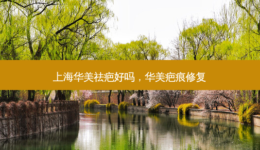 上海华美祛疤好吗，华美疤痕修复-第1张图片-美呗严选网