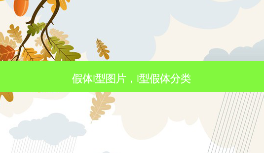 假体l型图片，l型假体分类-第1张图片-美呗严选网
