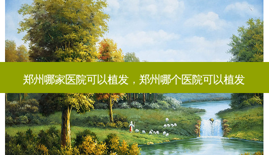 郑州哪家医院可以植发，郑州哪个医院可以植发-第1张图片-美呗严选网