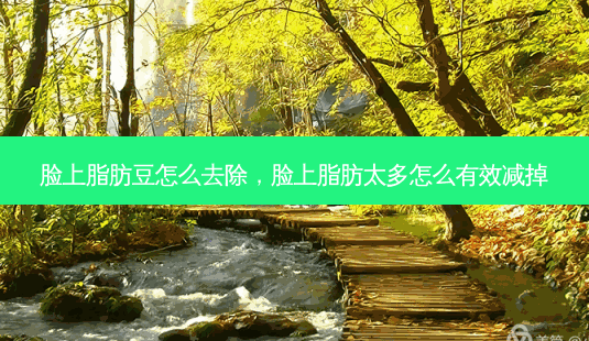 脸上脂肪豆怎么去除,脸上脂肪太多怎么有效减掉-第1张图片-美呗严选网 脸上脂肪豆怎么去除,脸上脂肪太多怎么有效减掉-第1张图片-美呗严选网