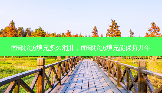 面部脂肪填充多久消肿,面部脂肪填充能保持几年-第1张图片-美呗严选网 面部脂肪填充多久消肿,面部脂肪填充能保持几年-第1张图片-美呗严选网